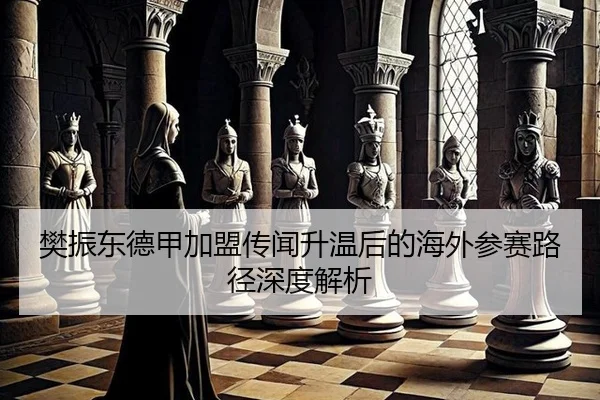 樊振东德甲加盟传闻升温后的海外参赛路径深度解析 - white label